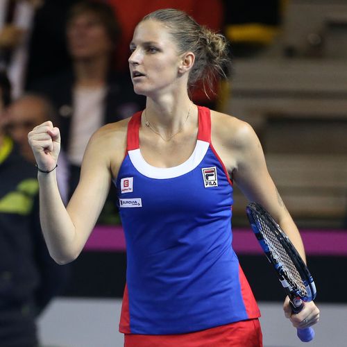 Karolina Pliskova, Fed Cup (Getty)