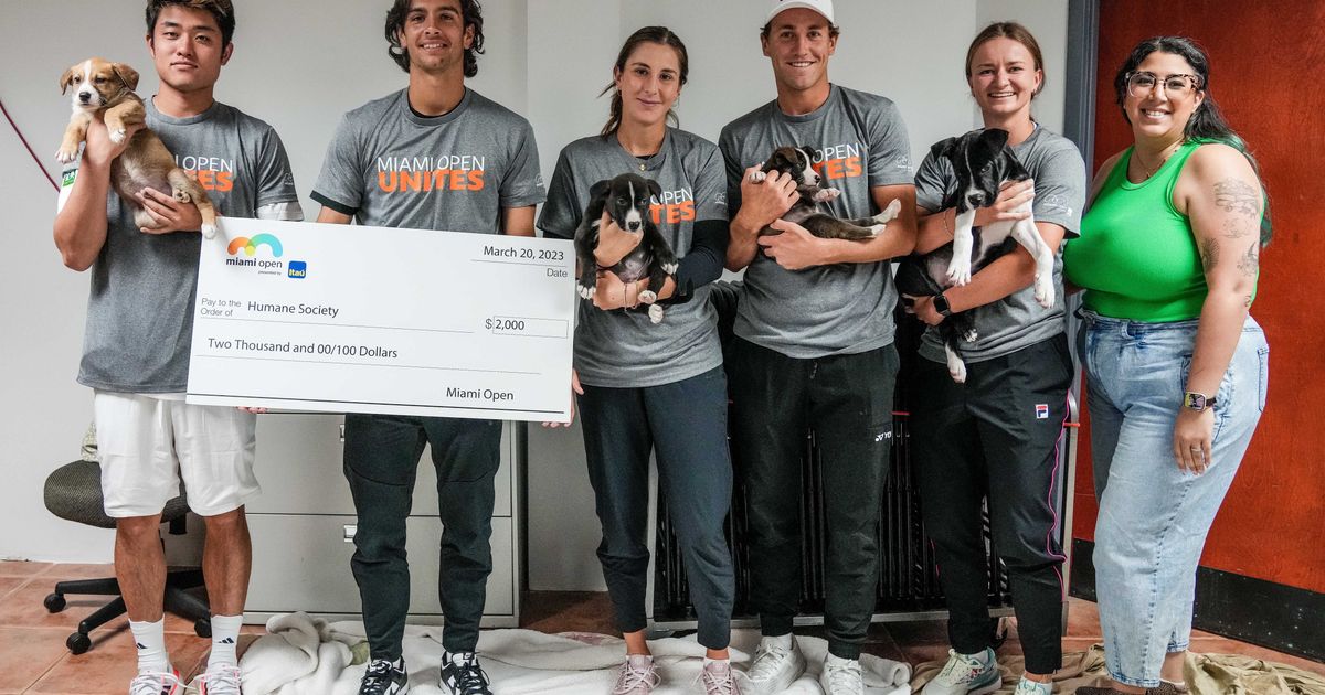 Los jugadores aportan como parte del evento anual Miami Open Unites