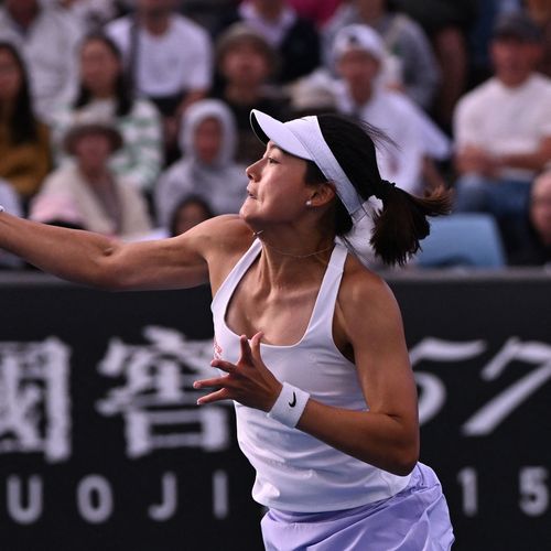 Wang Yafan, Australian Open 2024