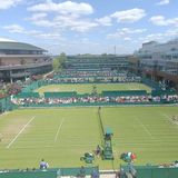 Marta Kostyuk, Daria Saville - Wimbledon 2024