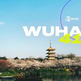 Wuhan 411 header