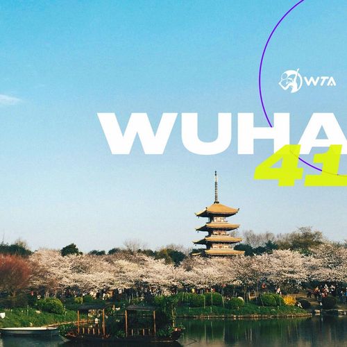 Wuhan 411 header