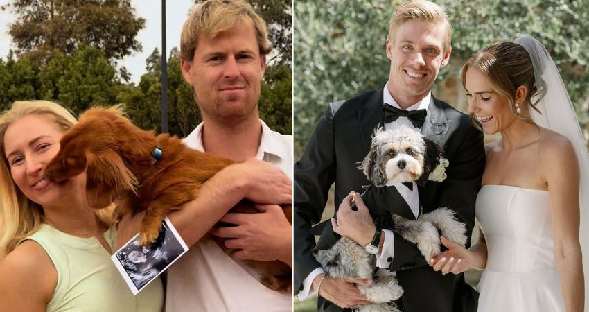 savilles-shapovalovs