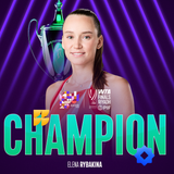 Rybakina champs corner