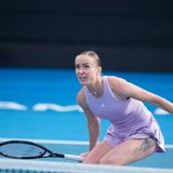 Elina Svitolina, Auckland 2026