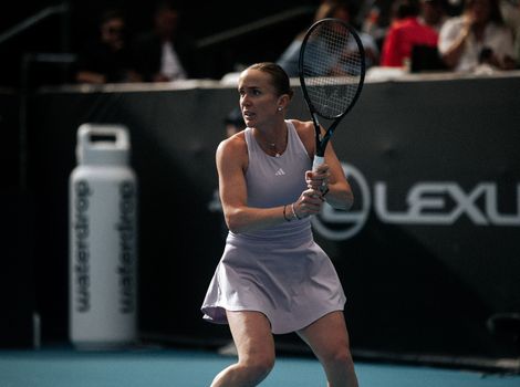 Elina Svitolina, Auckland 2026