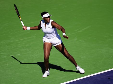 Venus_Williams