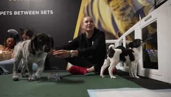 Rybakina takes a break for puppy playtime in Miami