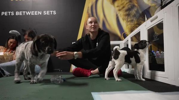 Rybakina takes a break for puppy playtime in Miami