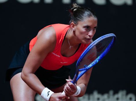 Udvardy, Bogota semis