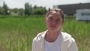 MADRID - PRE-TOURNAMENT INTERVIEW - CRISTINA BUCSA - ENGLISH_Digital Download_m49498