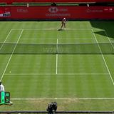 Cirstea battles past qualifier Inglis in three-set Queen's first round