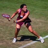 Emma Navarro, Bad Homburg 2026