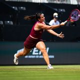 Emma Navarro, Bad Homburg 2026
