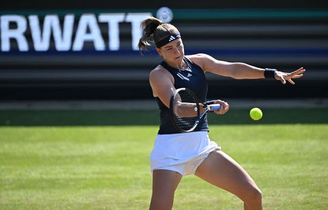 Karolina Muchova, Bad Homburg 2026