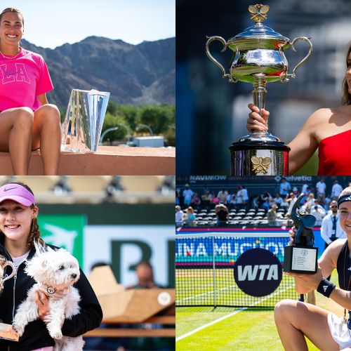 wtafinalspreview