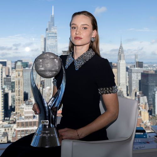 Elena Rybakina - Hero