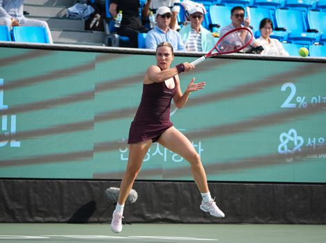 Elena-Gabriela Ruse, Seoul 2026