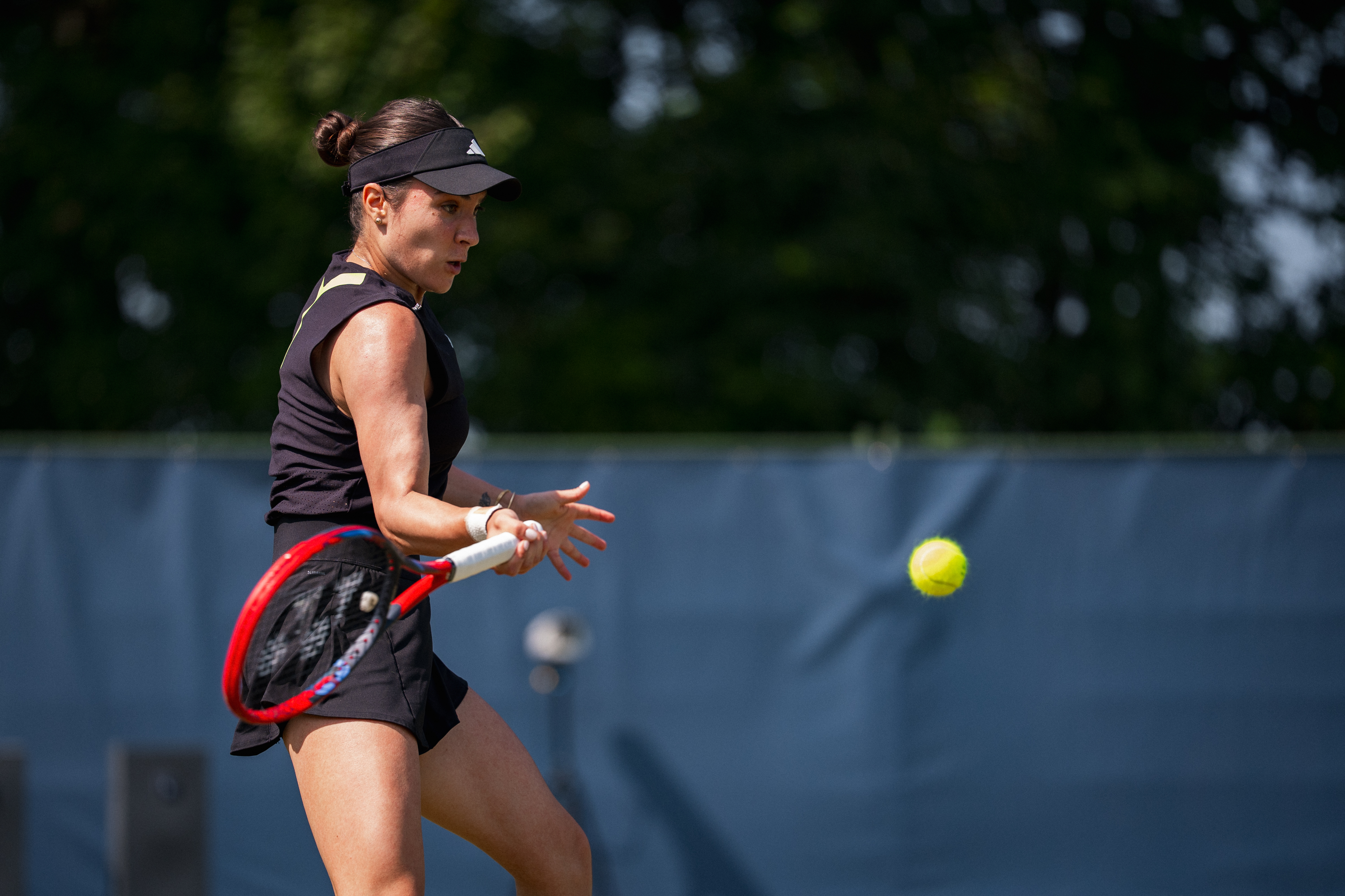 Alberto Ruse Ruse defeats Andreescu in 's-Hertogenbosch to make second semi of 2025